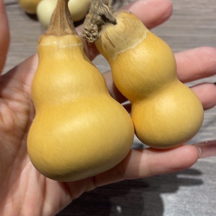 淡****葫芦葫芦葫芦葫芦