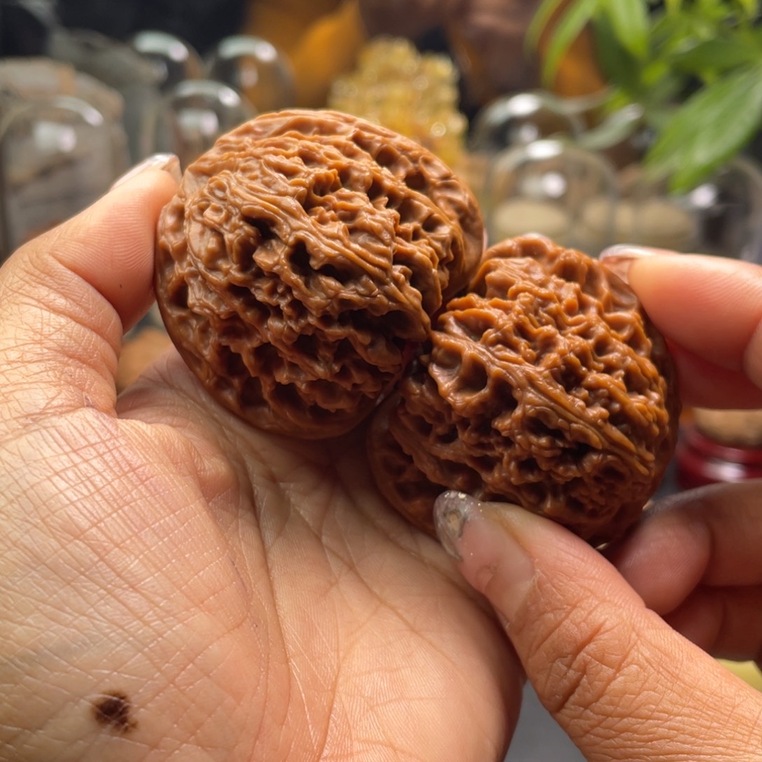 郅***室把件文玩核桃粗筋48