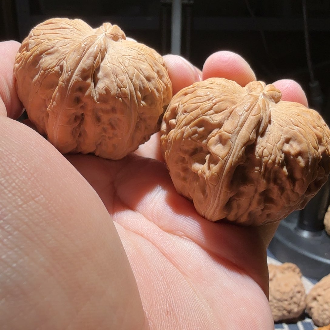 文玩核桃把件平谷元宝