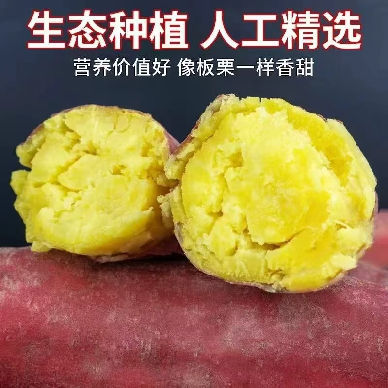 【买3斤送2斤】现挖现发沙地红薯粉糯香甜可口无丝无筋坏果包赔