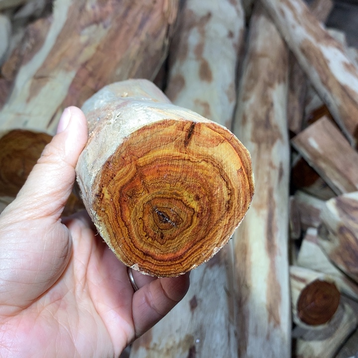 家***宝花梨木类海南黄花梨