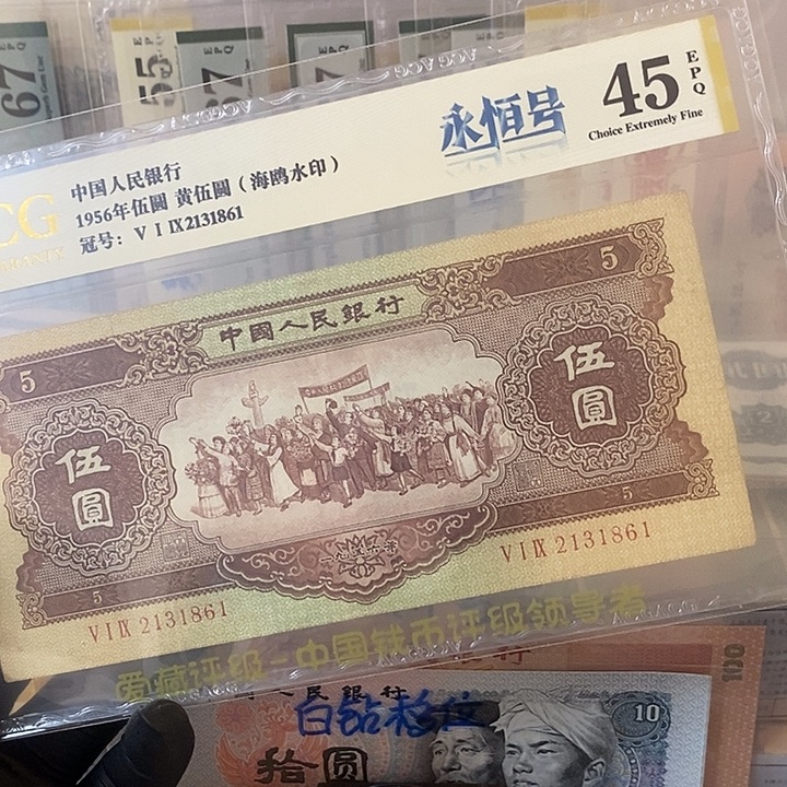 C***P海鸥2131861爱藏评级