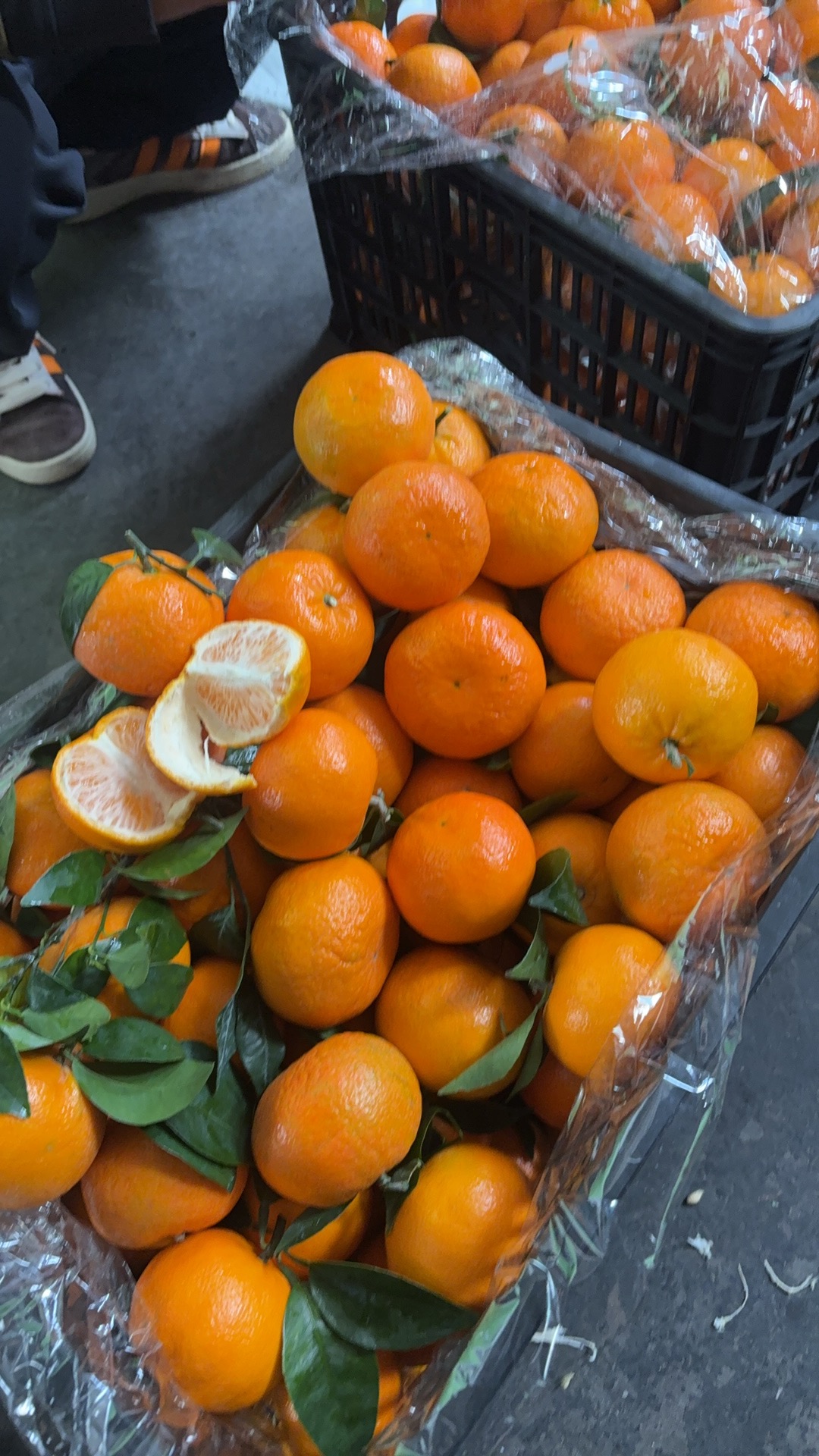 广西武鸣沃柑中果【九甜一酸，风味足】