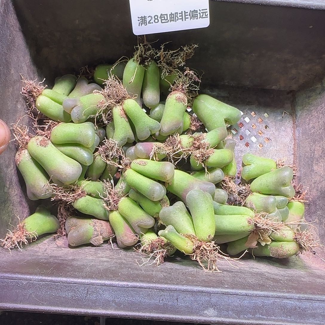 美***1哈哈哈哈哈哈哈家910