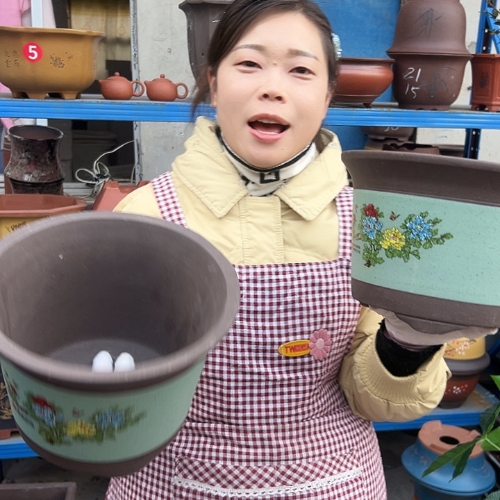 绿色陈波小一对花盆花盆花盆