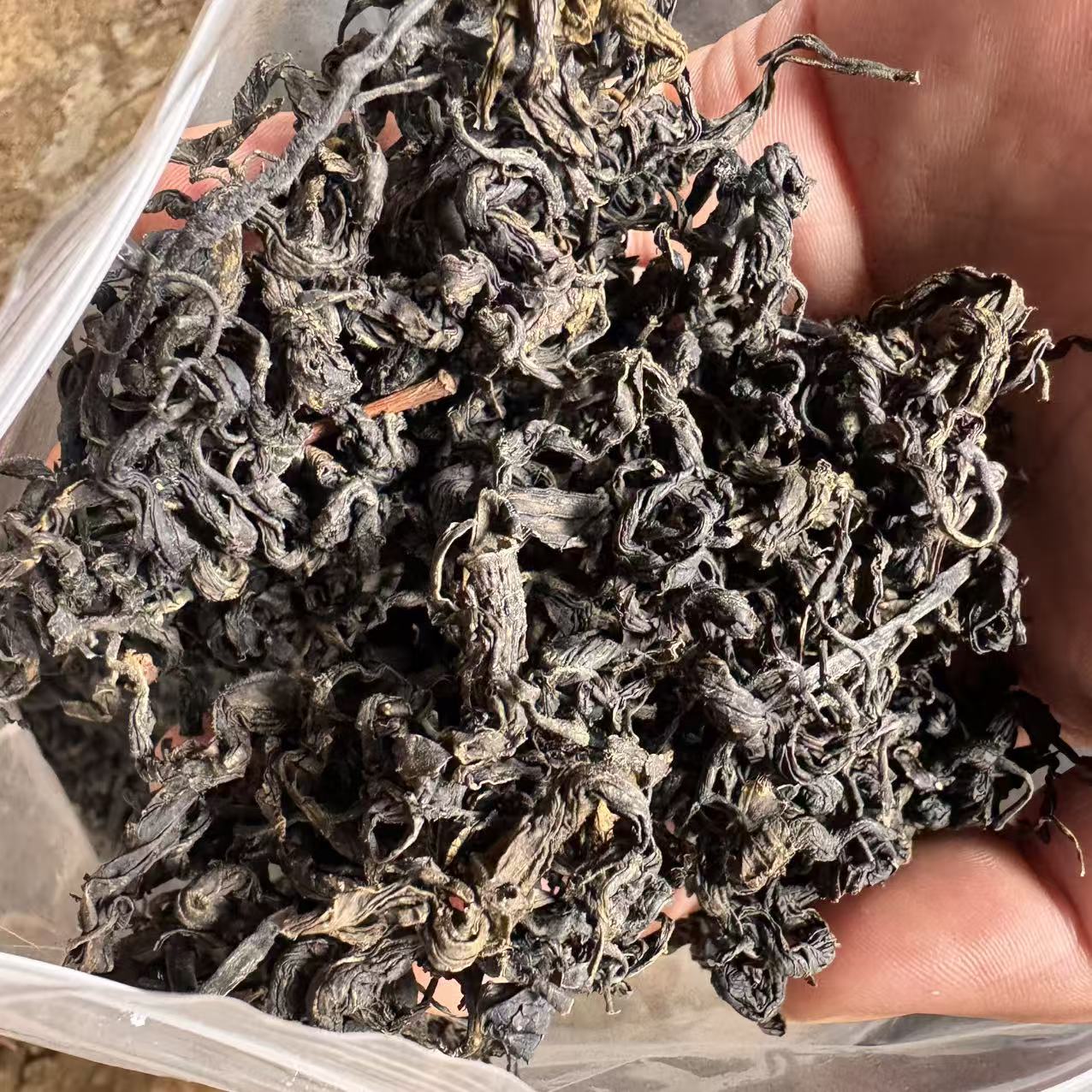 云南优选好物【小陈】肾经查干