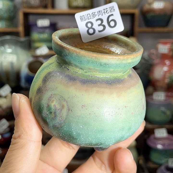 红陶内口径5高度6