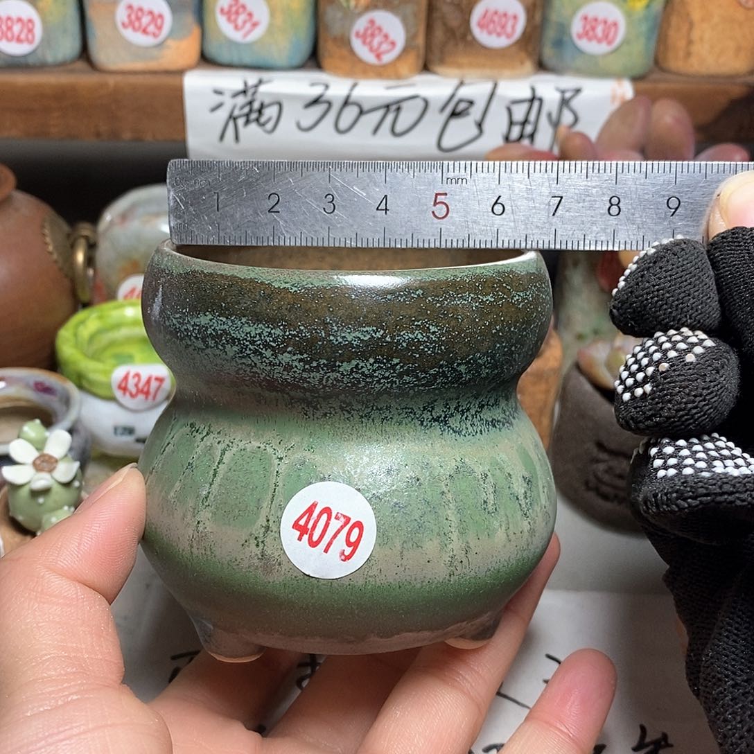 红陶拍5送一个小