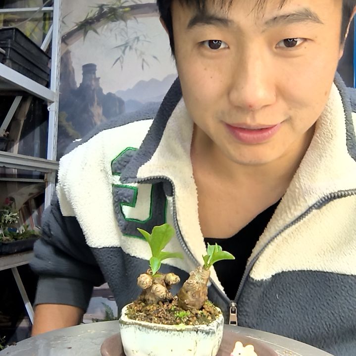 陆***）中青园艺一物一拍花414