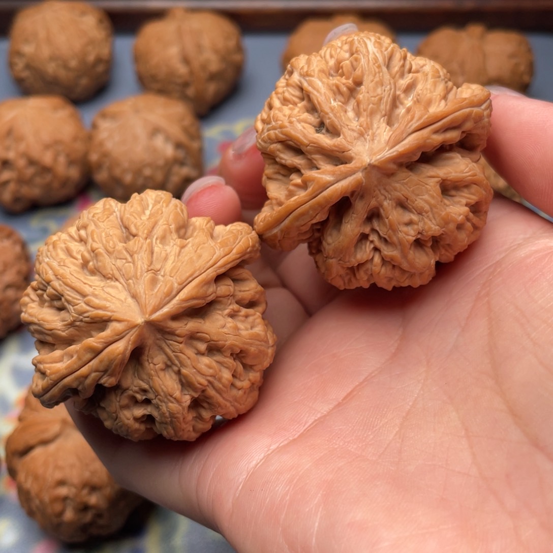 文玩核桃把件大粗筋47 S18号