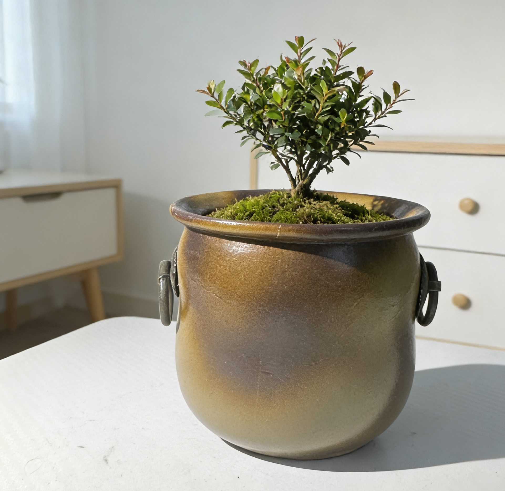 透气花盆陶瓷材质桌面绿植多肉专用复古风小花盆高11cm直径11cm适