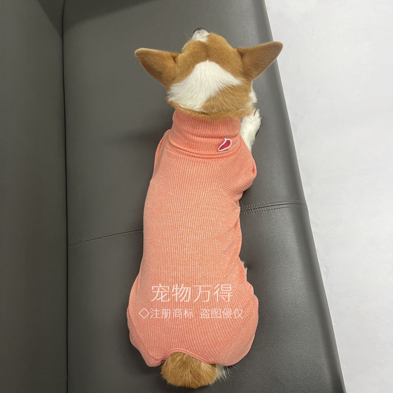 柯基柴犬中型犬高领毛衣多巴胺糖果彩色狗狗四脚连体衣服专柜正品