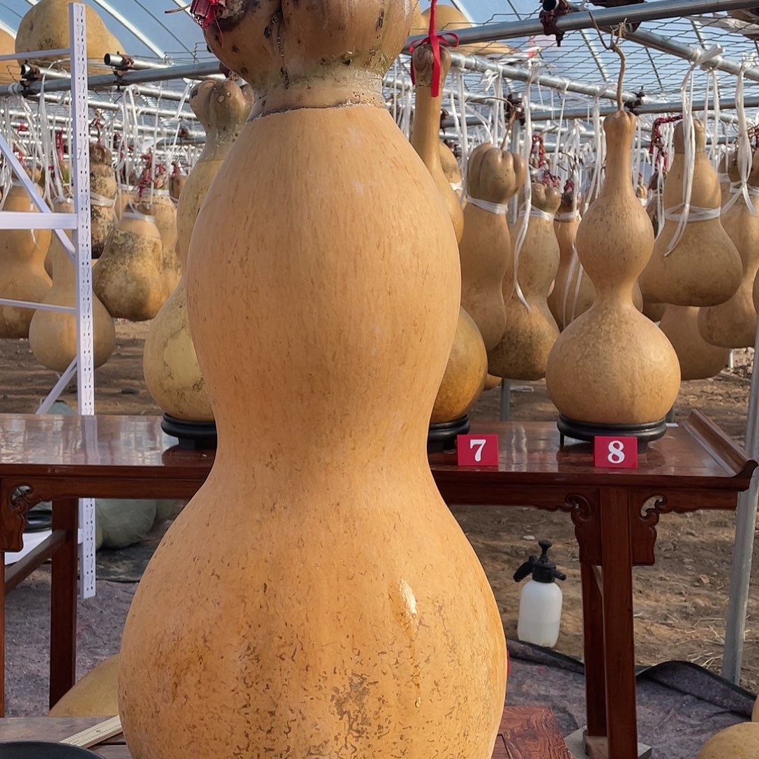 三***）木大葫芦不包邮大葫芦