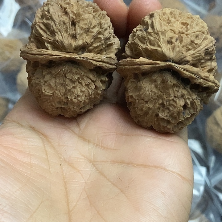 文玩核桃把件云南铁核桃基地29