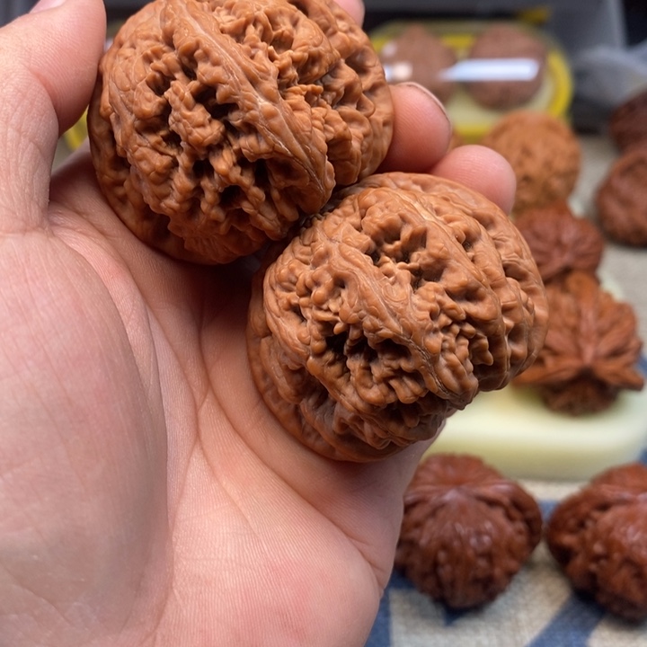 文玩核桃把件大肚粗筋