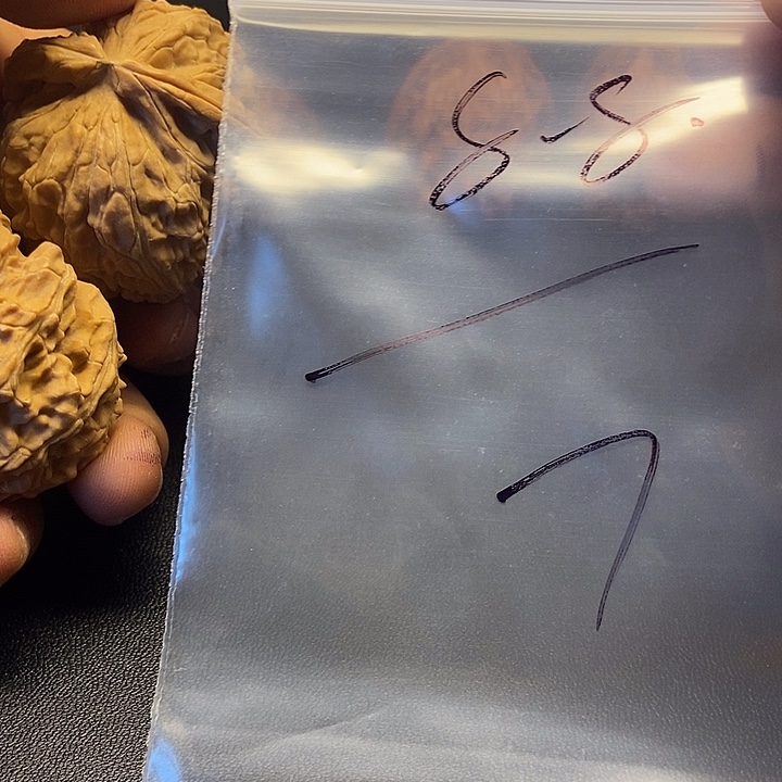 星***享核桃七号文玩核桃