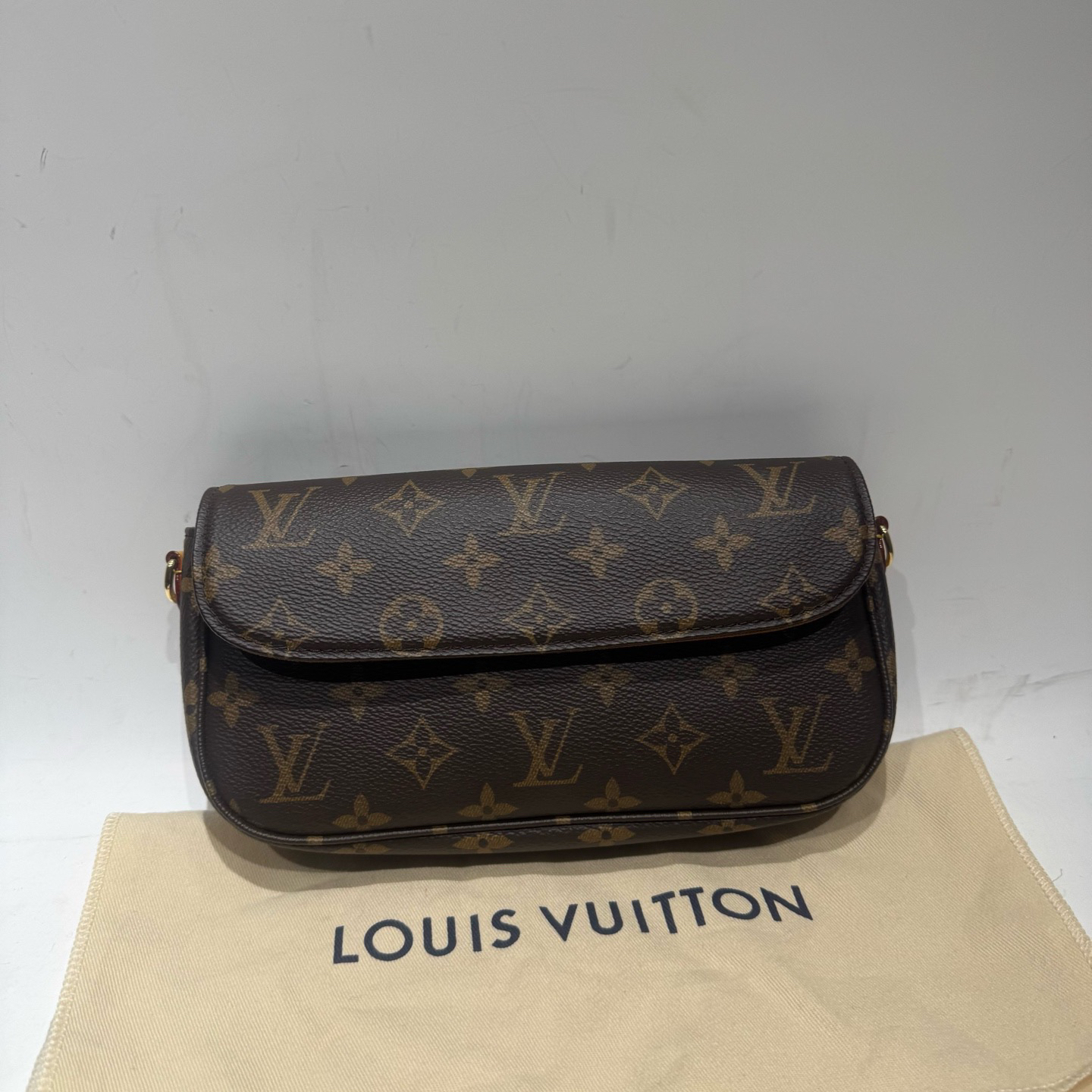 95新 LouisVuitton/路易威登  18926476/KIKIFIFI/iVY