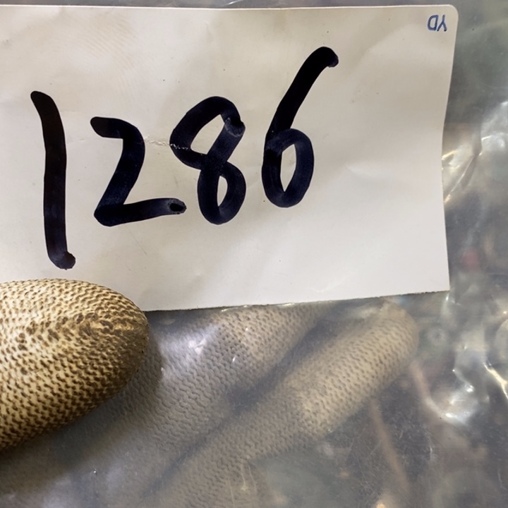 罗***叔娜娜文玩杂项专属链接