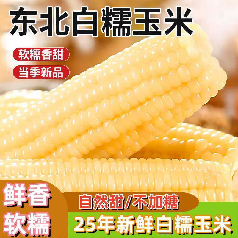 【新人福利 试吃3棒】25年当季白糯玉米香甜软糯营养代餐，邱祗