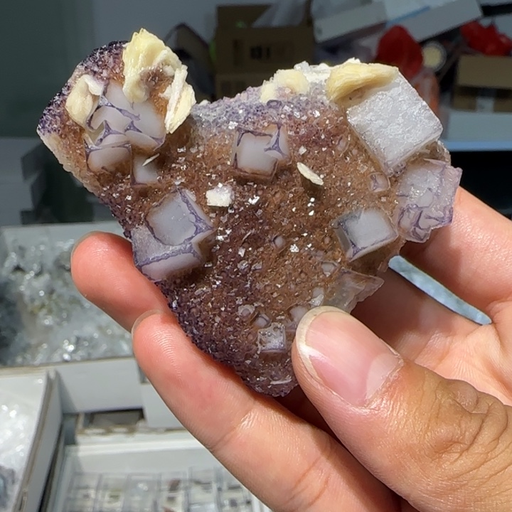 昌化石印石原石料贵州紫边青花c