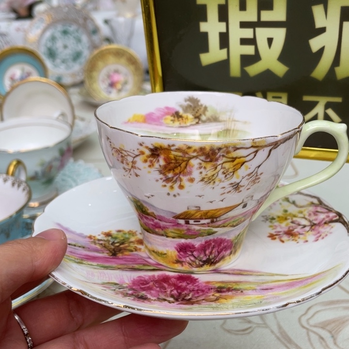 盘维多利亚欧洲中古