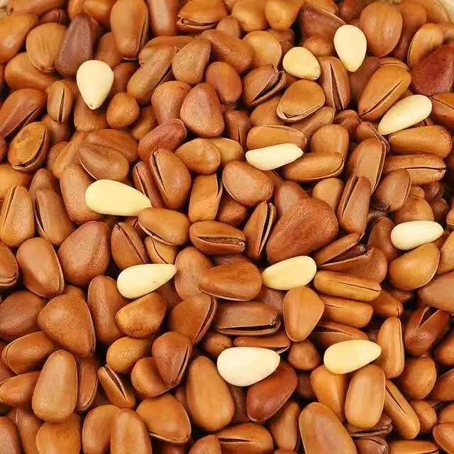 东北野生松子一斤装    【油炒松子+笨炒松子】