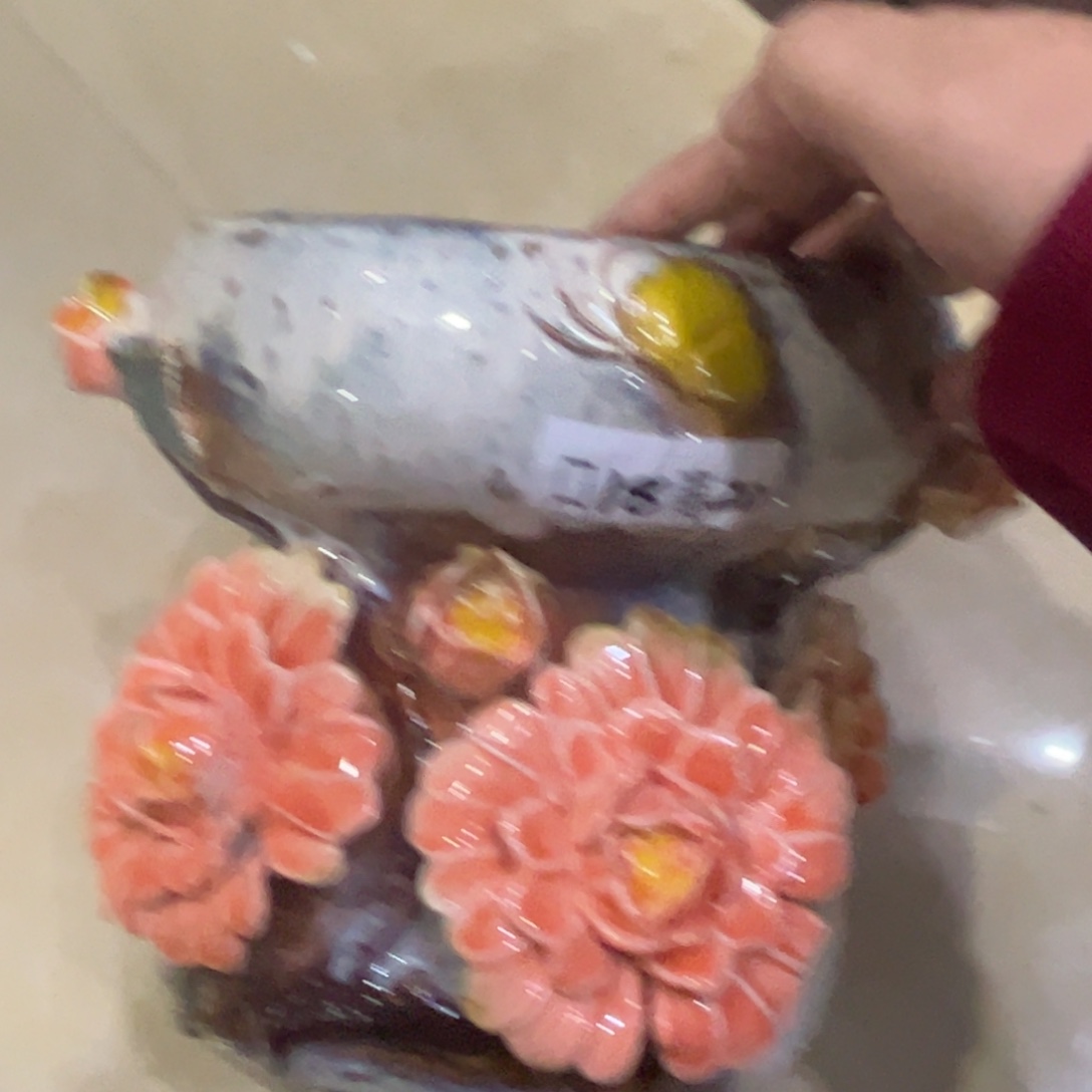 满20飞花盆爱退款拉黑