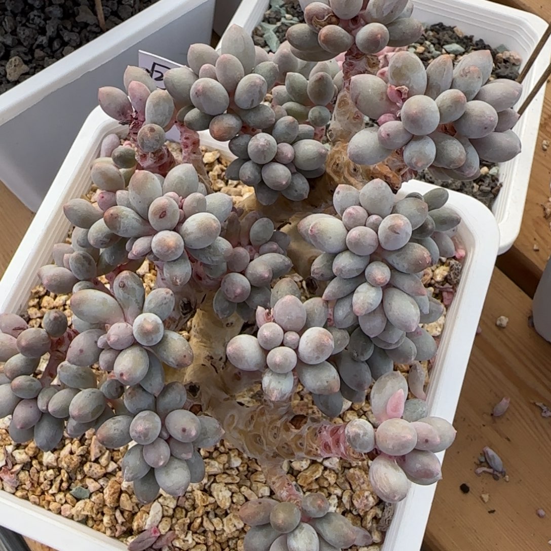 巨***欢快点康复姐姐疯狂疯狂