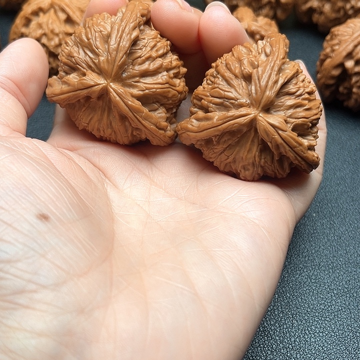 ，***核桃43尺白狮子拼接饶了你