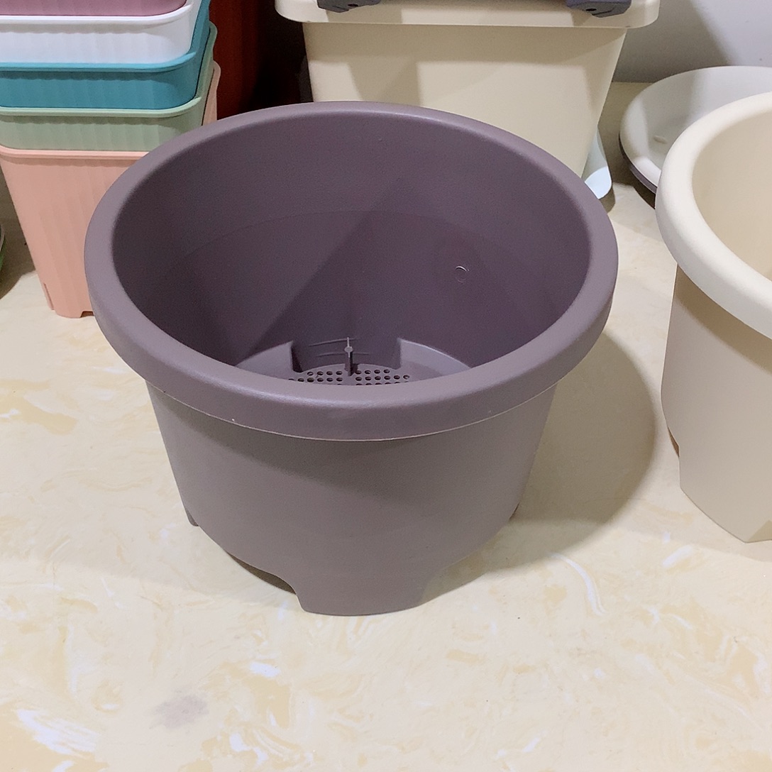 树脂球根口26咖色5个无托