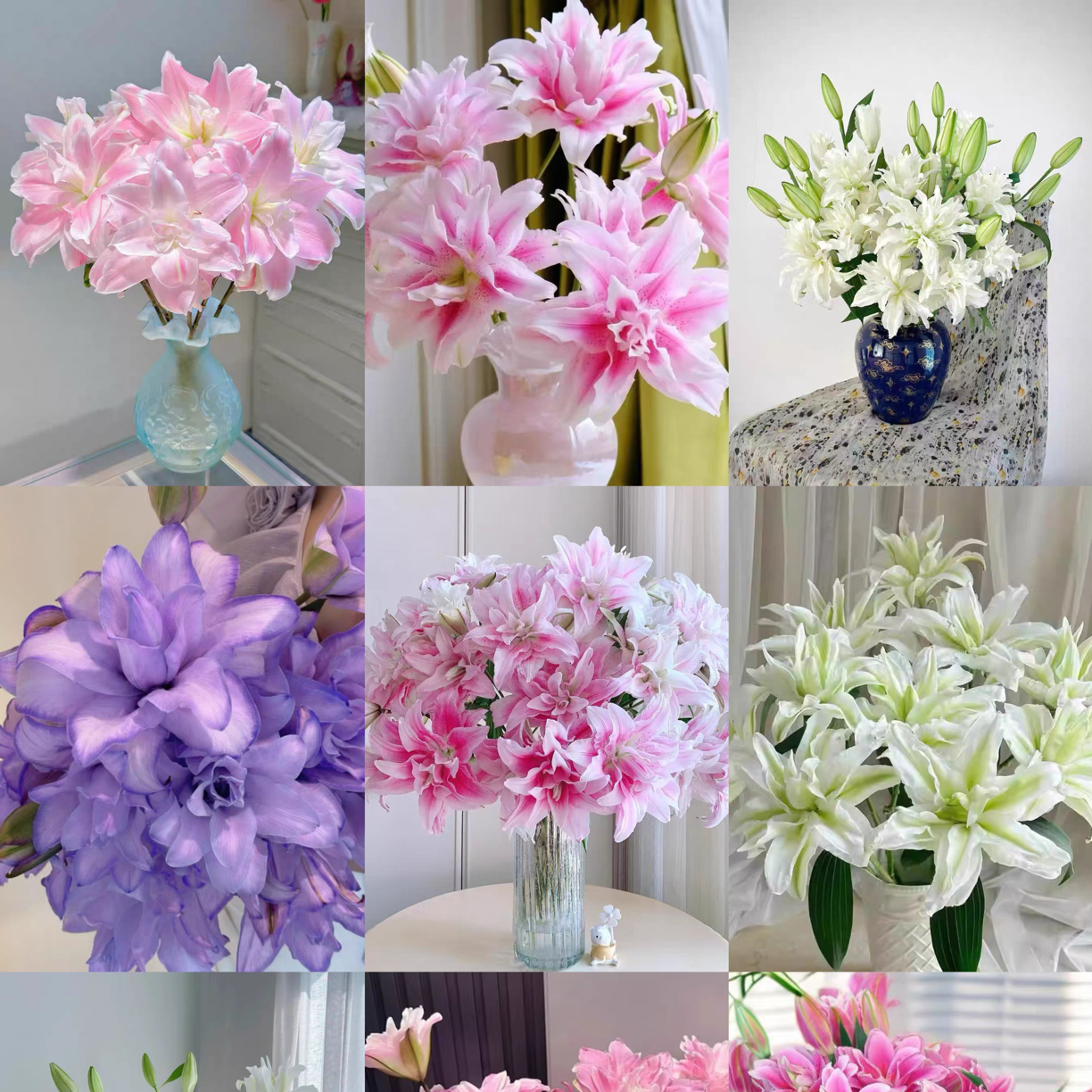 Fs知花意｜重瓣百合｜可与花束拼单｜一单中通｜两单升级顺丰包邮