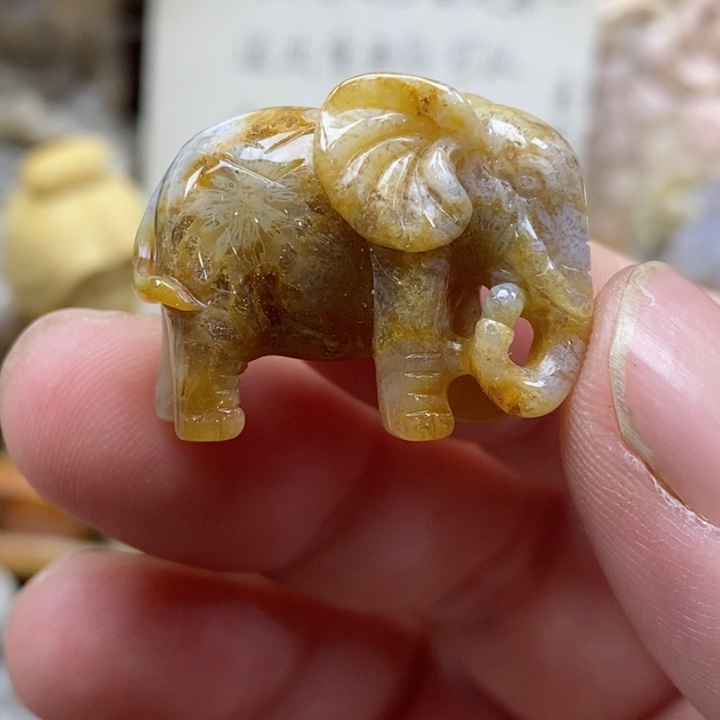 颈饰未镶嵌硅化珊瑚（珊瑚玉）小