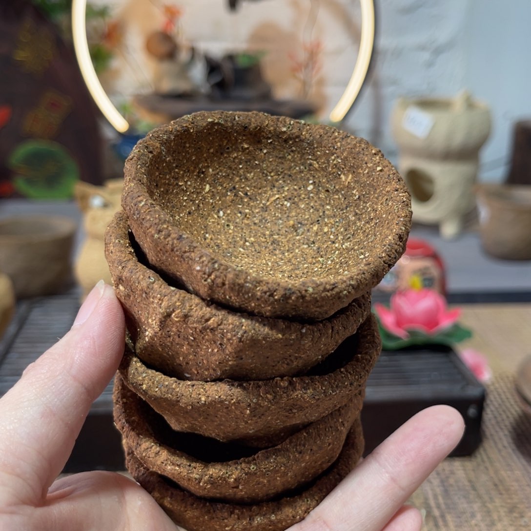 木村信弘柴烧保平