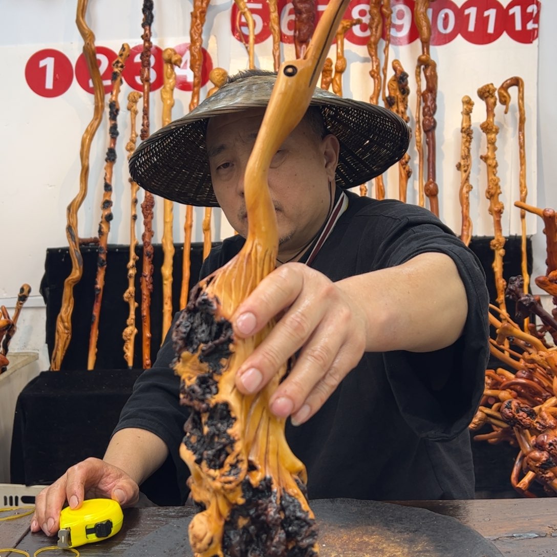 黑果木其他黑果木933