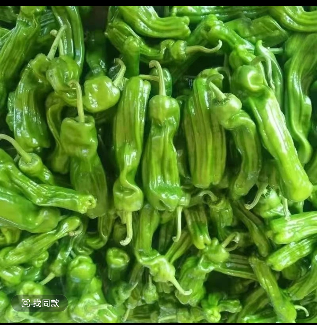 露天大辣椒新鲜现摘薄皮产地直发农家种植正宗皱皮