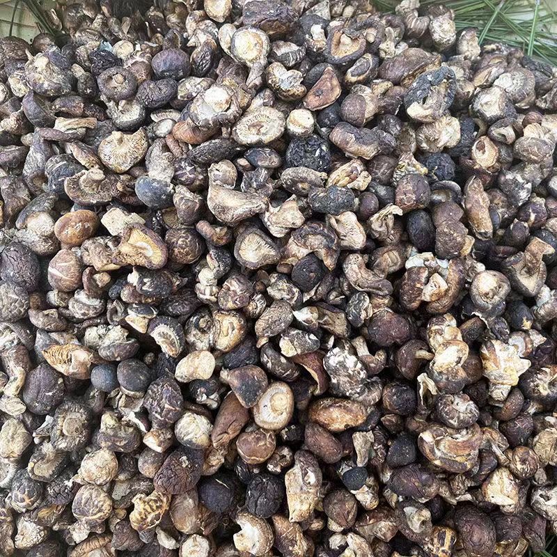 【阿秀的山货】云南高原山货甄选  小香菇