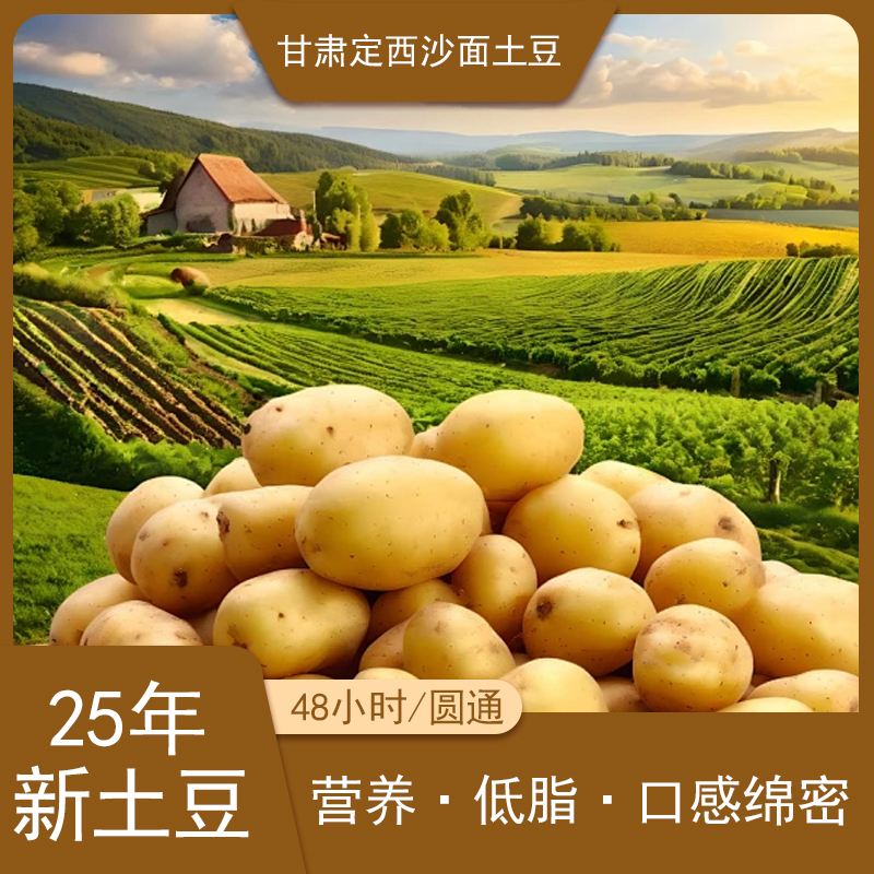 正宗甘肃沙地黄心土豆新鲜现挖沙糯粉面炒菜炖汤必备蔬菜