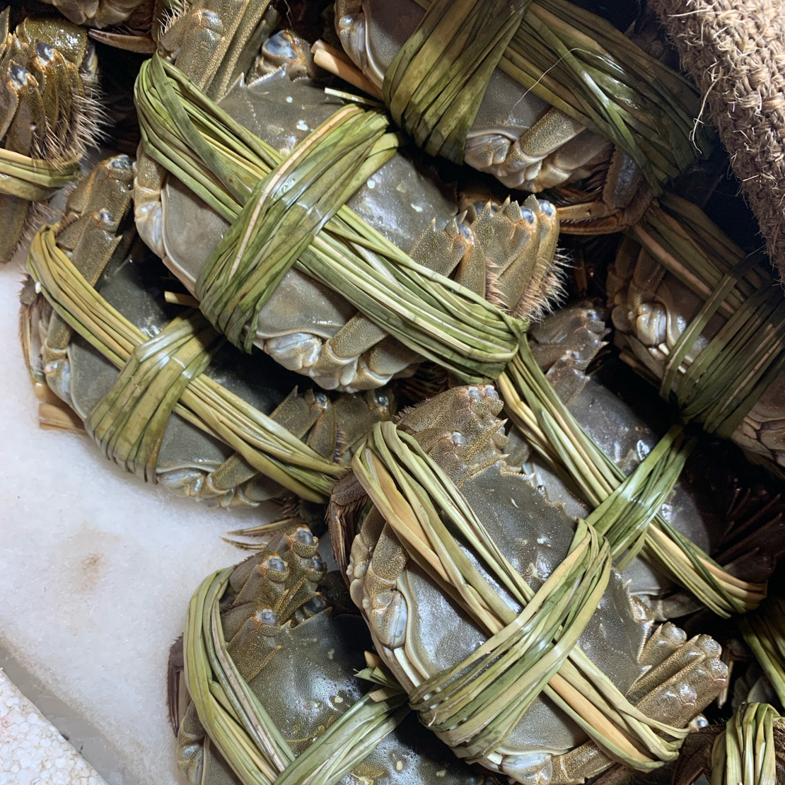 2.5两母大闸蟹69元4只