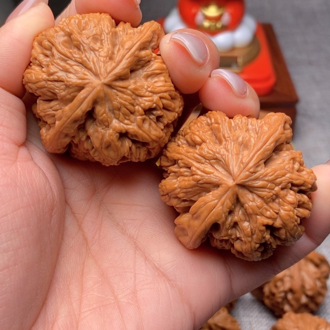 把件文玩核桃毕业大粗筋45全品