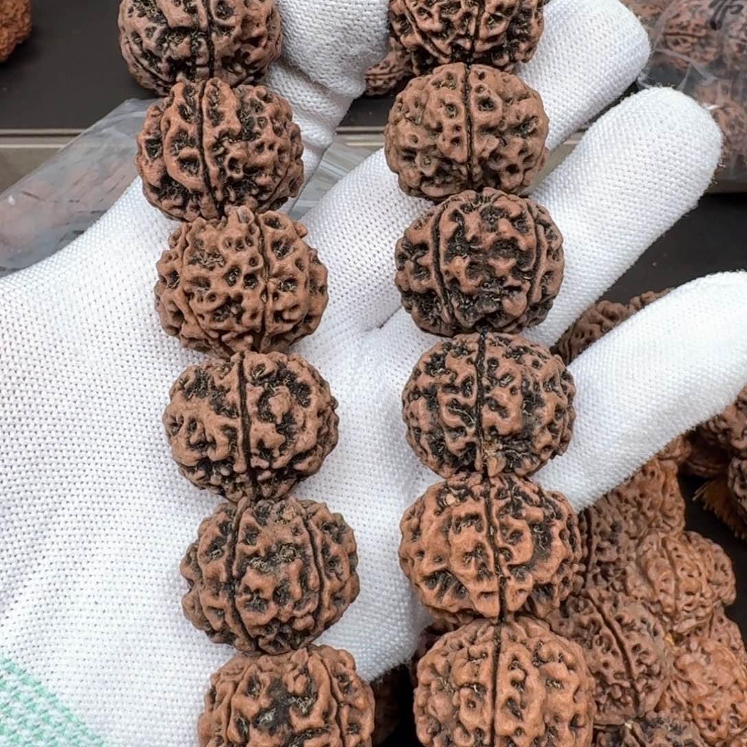 金刚菩提手串24粗筋蜂窝双龙（微色差介意慎拍）