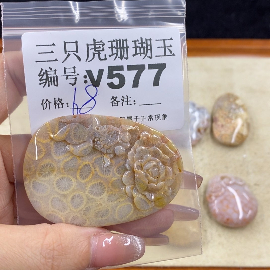硅化珊瑚（珊瑚玉）未镶嵌1茶*子