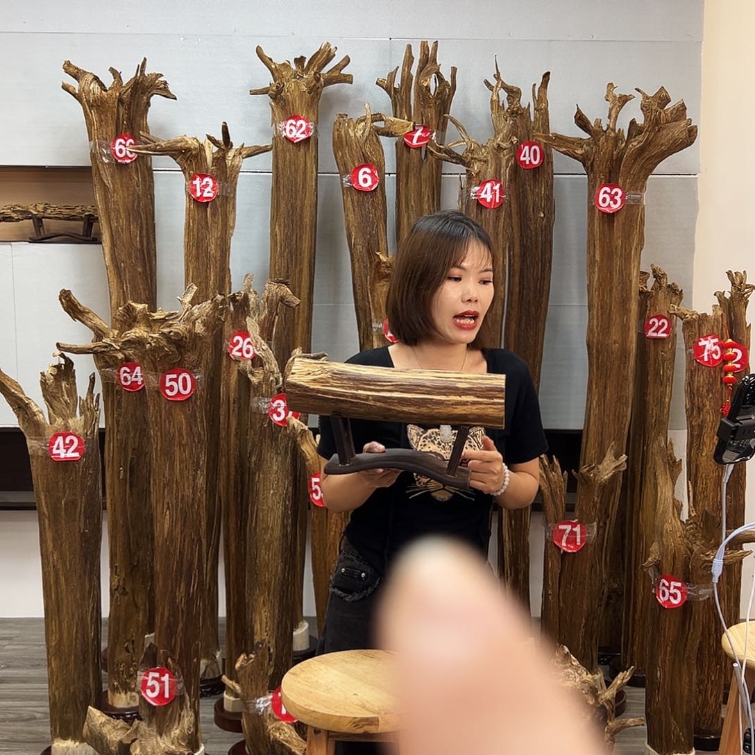 摆件沉香沉香摆件