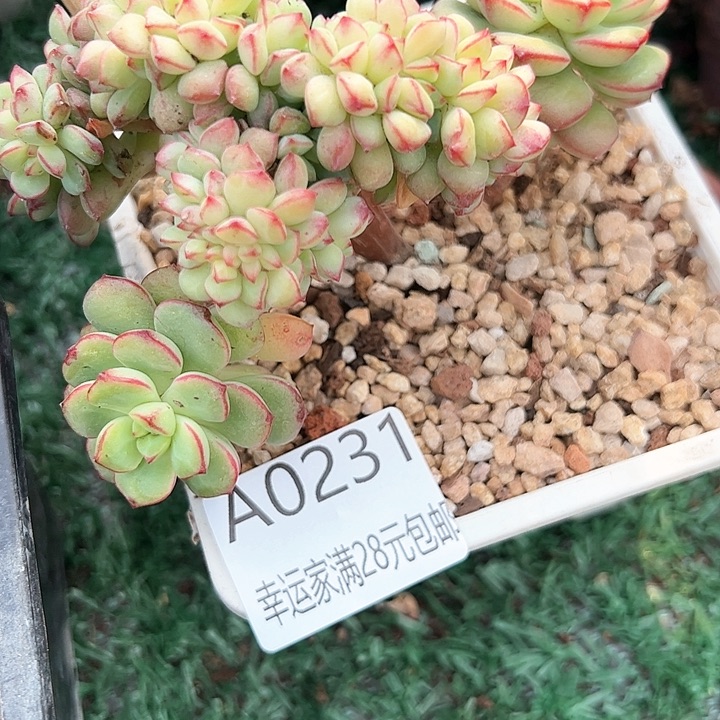 幸运的是我在这里