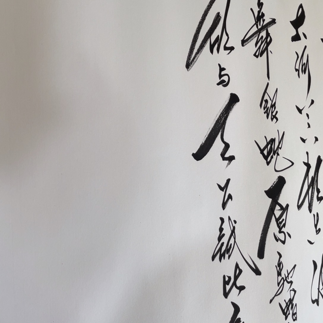 书法用****8书法作品欣赏