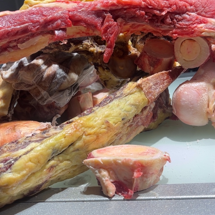 18个月中国大陆阿勒泰正宗的黄标牛肋排