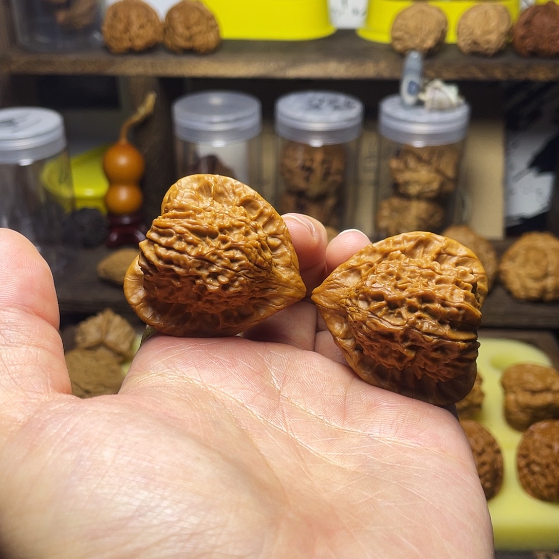 41尺原树朱雀天残脚