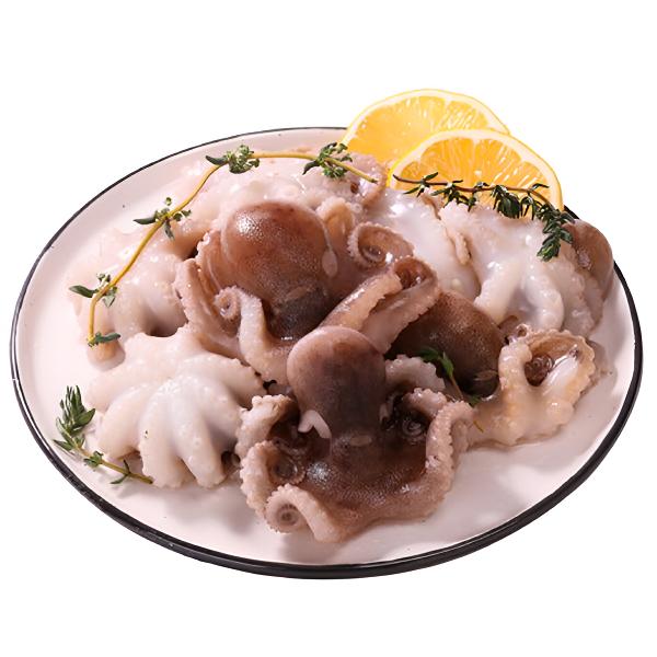 短腿精品八爪鱼连云港顺丰 2斤/4斤