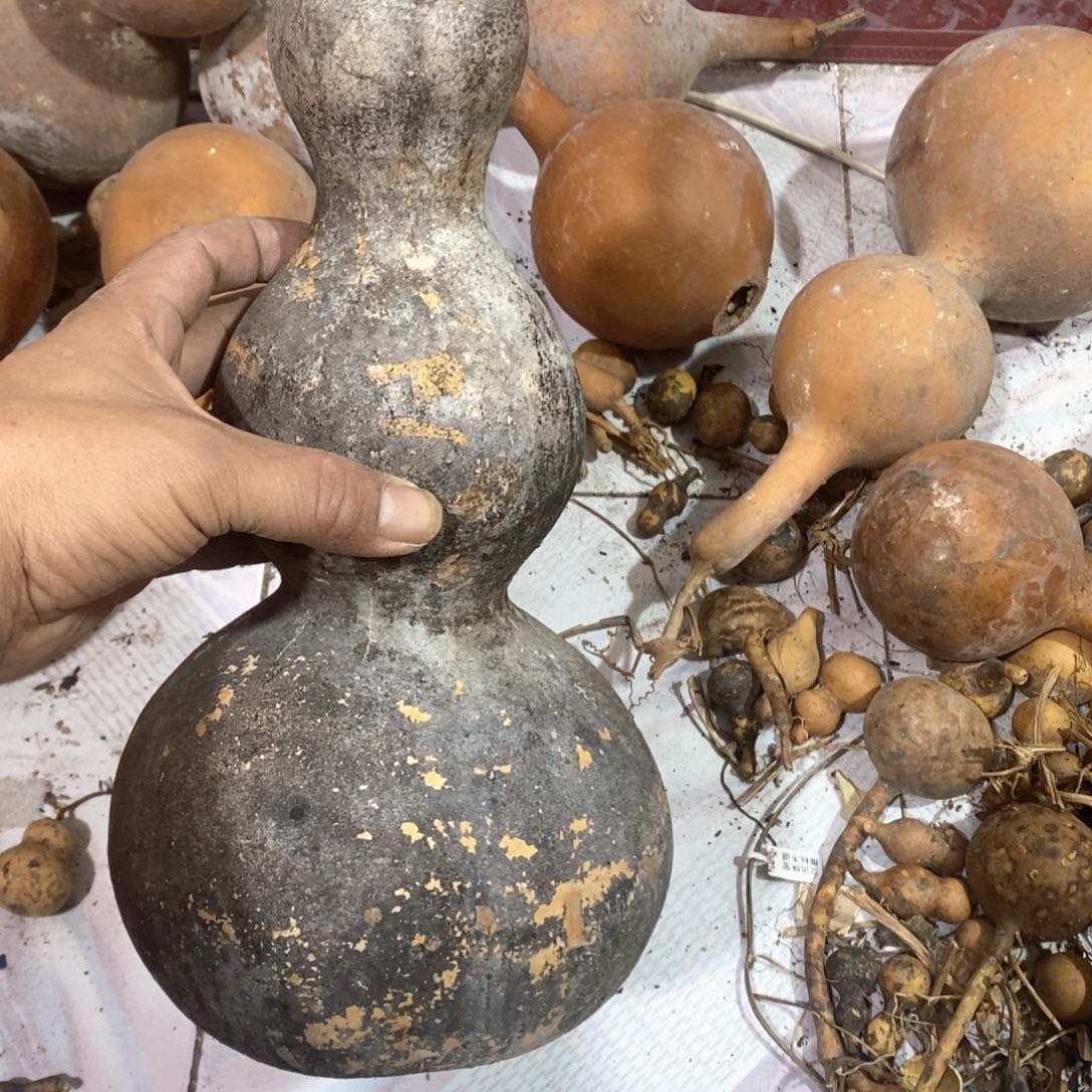 铲****?文玩葫芦画皮葫芦