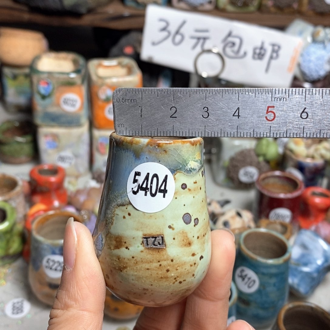 花盆拍5送一个小礼物