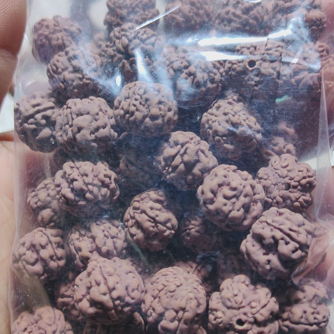 金刚菩提吊坠金刚菩提散籽一包